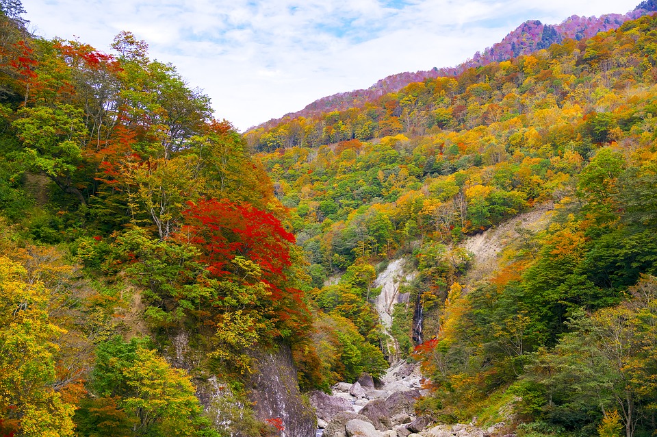 Autumn in Niigata